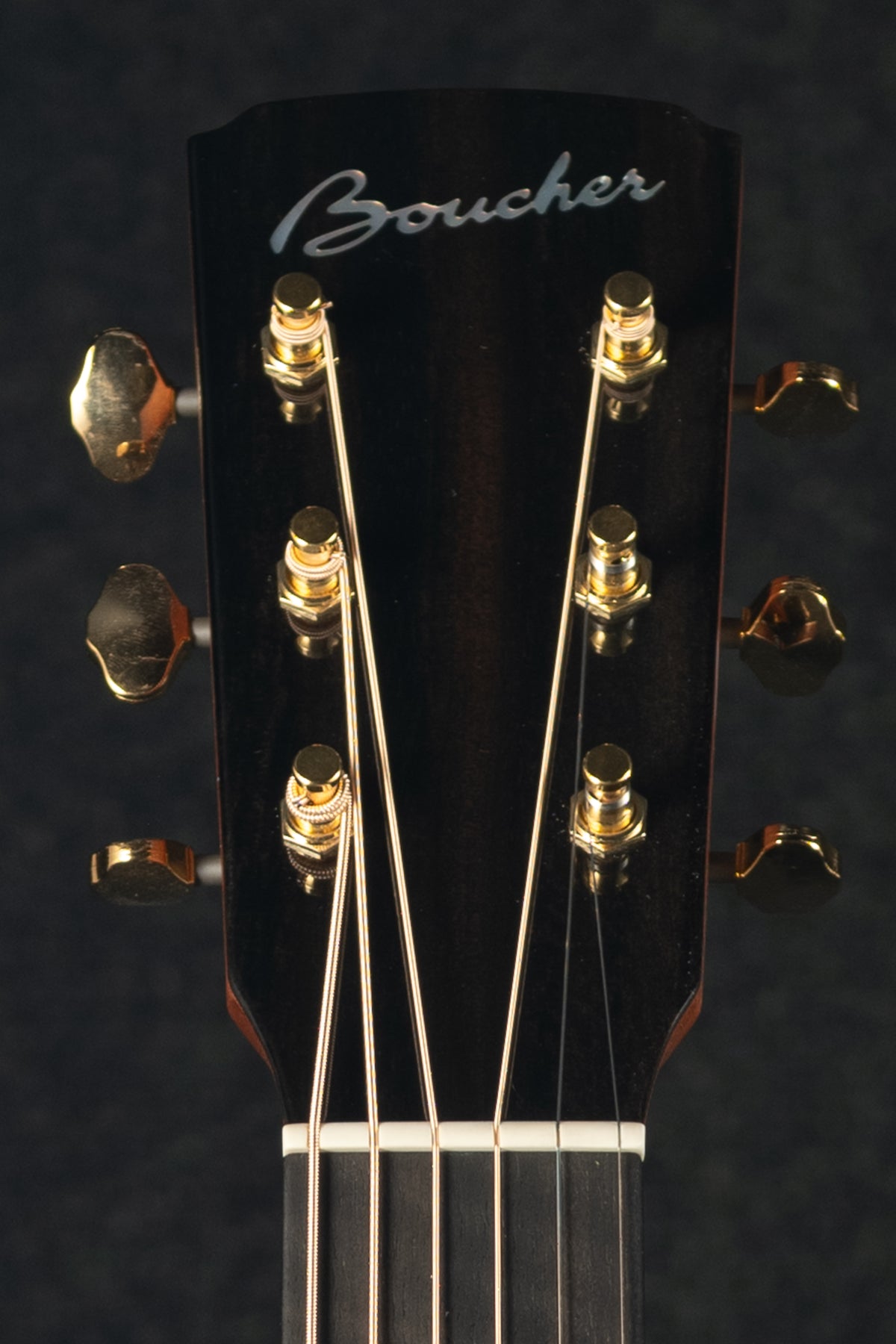 SG-21-G OM Hybrid