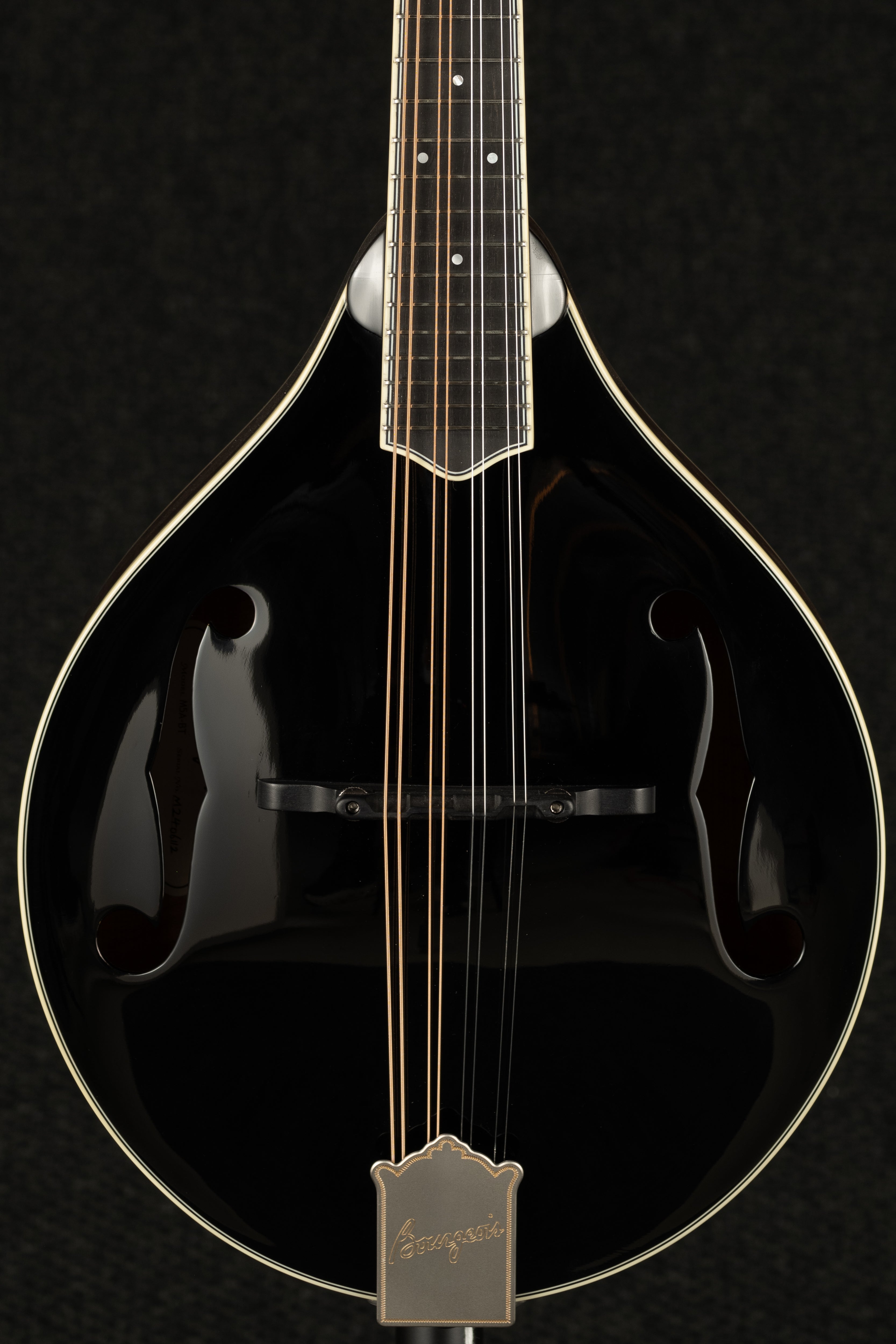 M5-A-BT Mandolin - Black Top