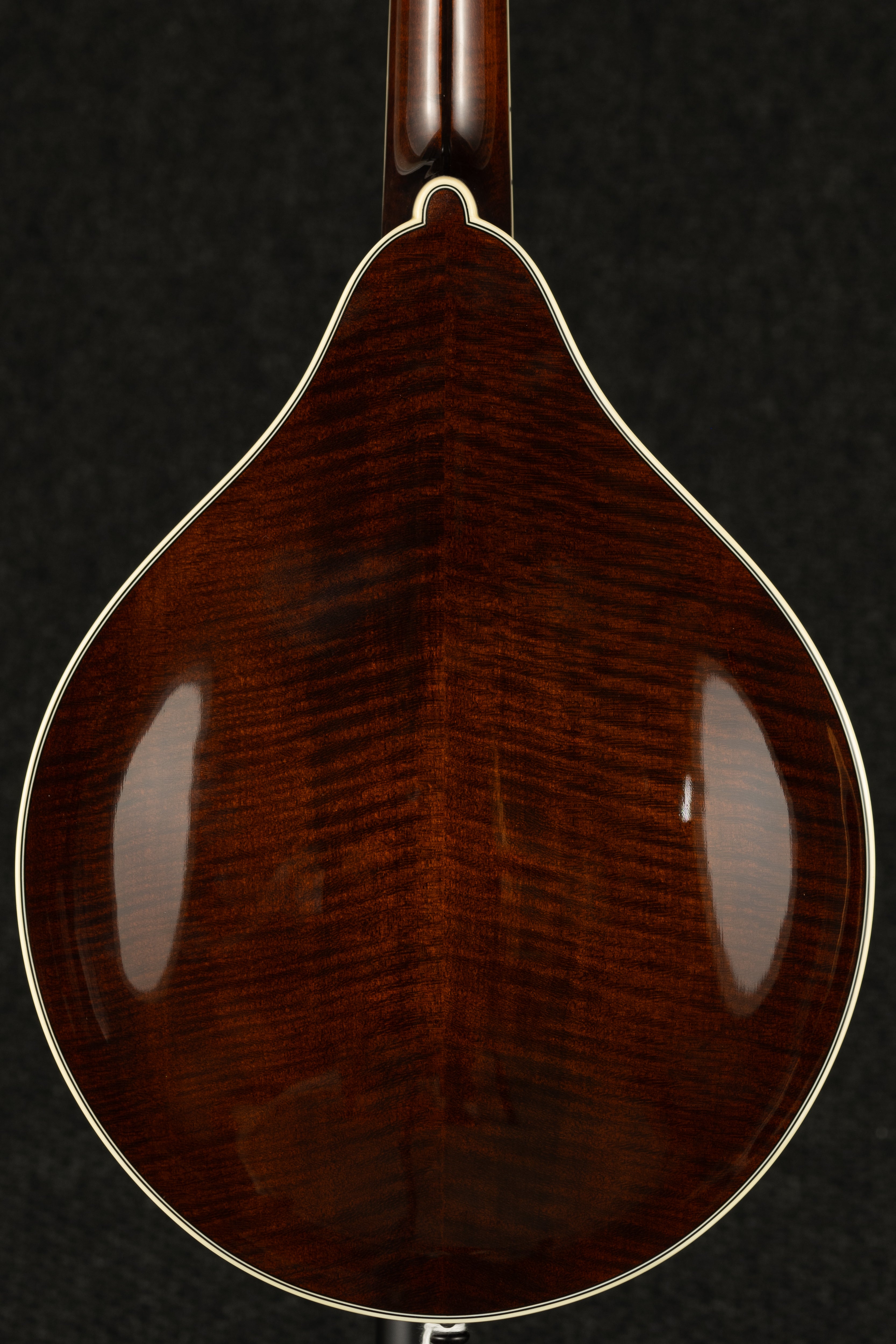 M5-A-BT Mandolin - Black Top