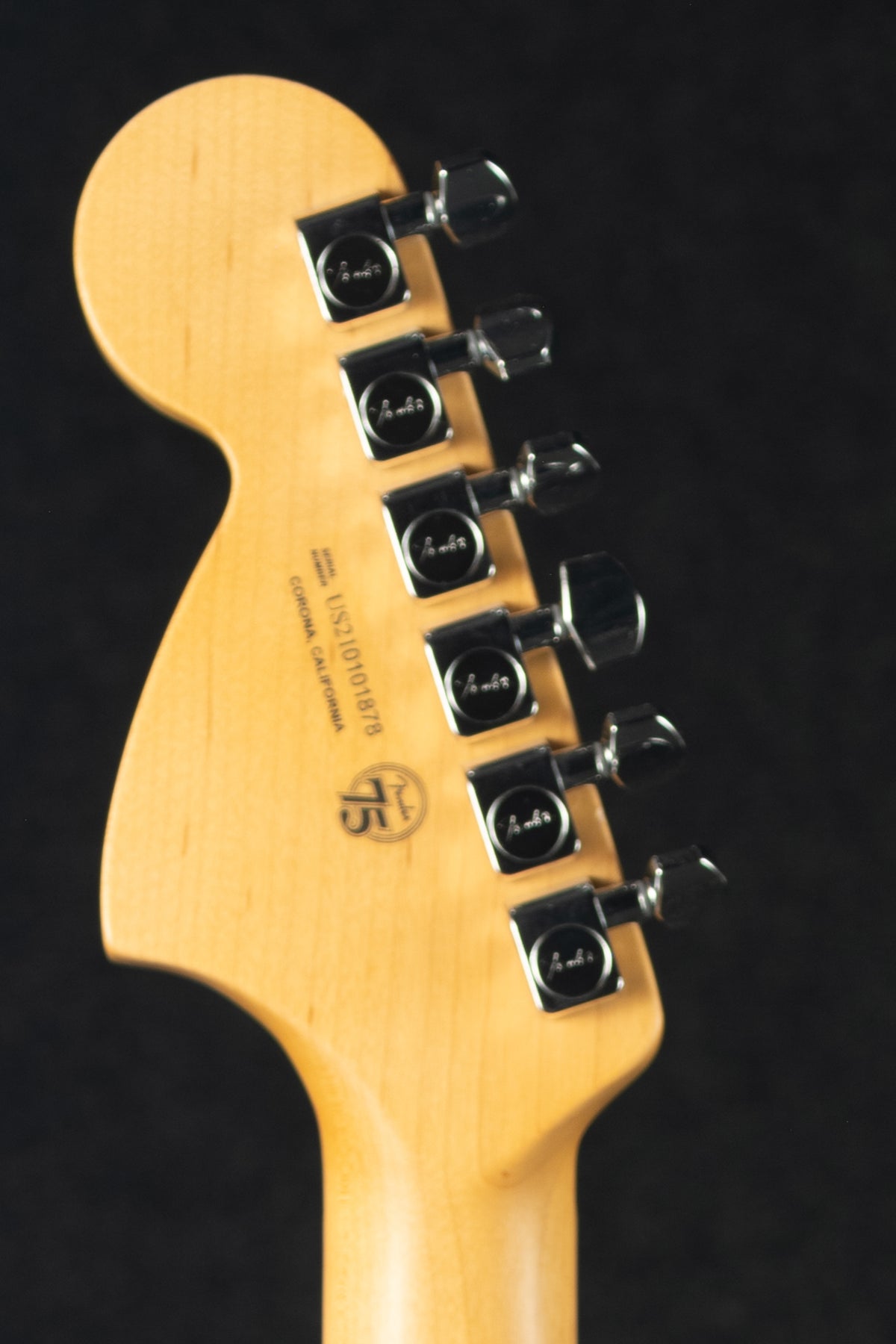 American Profesional II Deluxe Telecaster