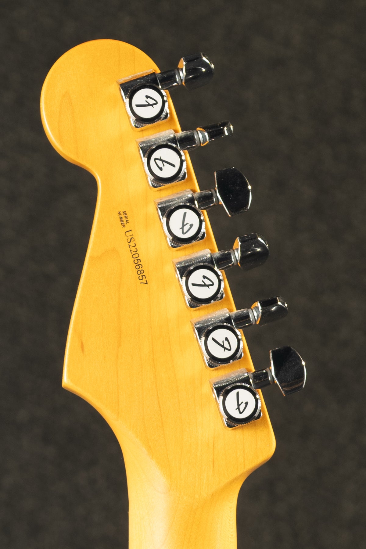 American Professional II Stratocaster Dark Night