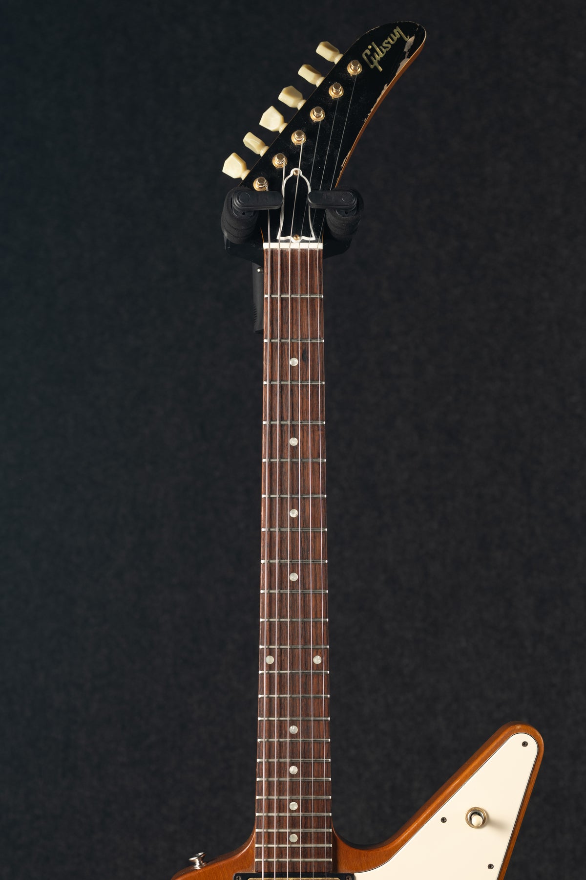Clapton Cut - Explorer Mahogany