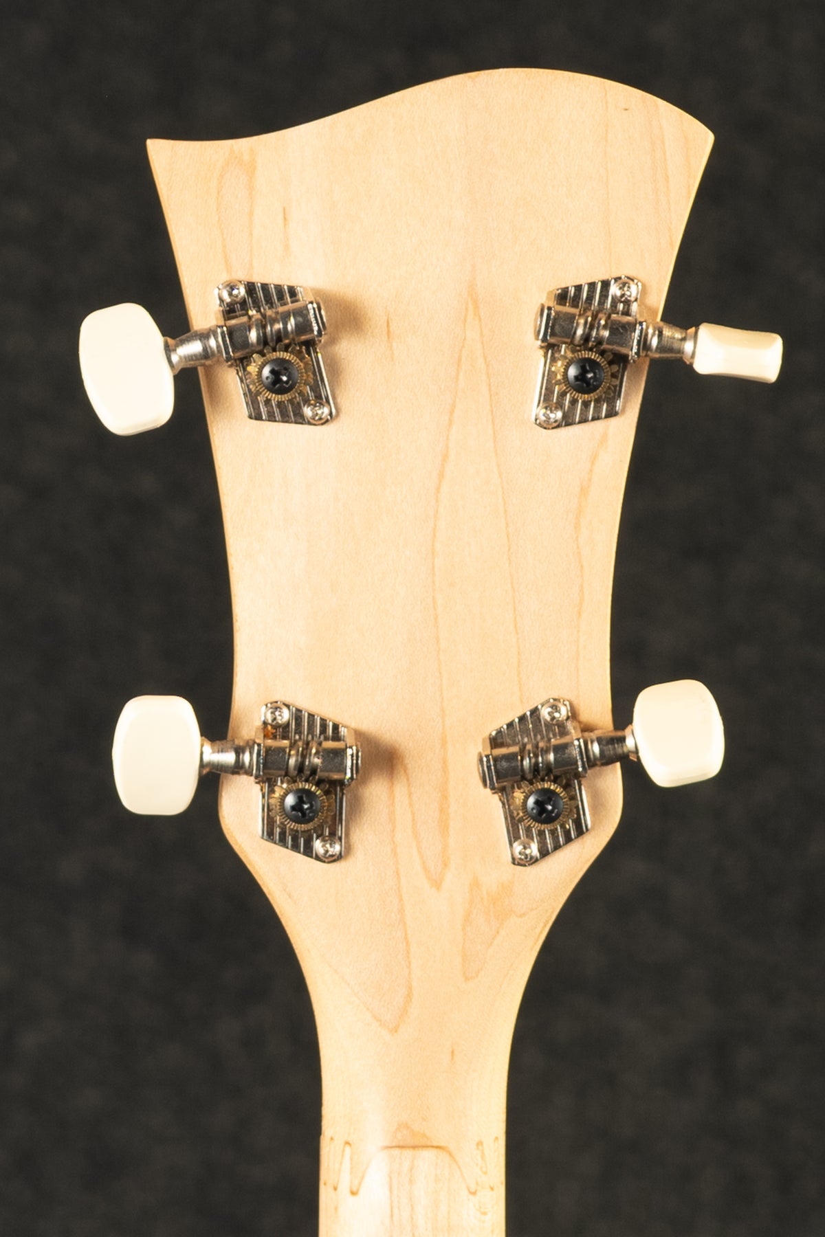 Goodtime Special Banjo