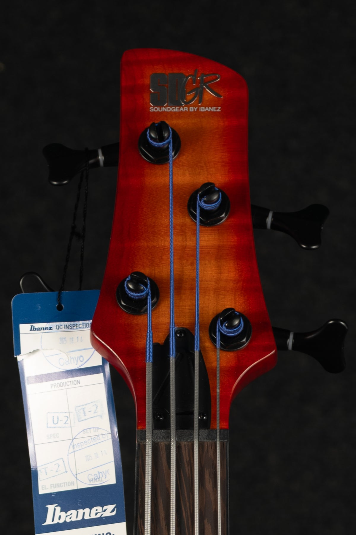 SRD900 Semi-Hollow Fretless - Brown Topaz Burst