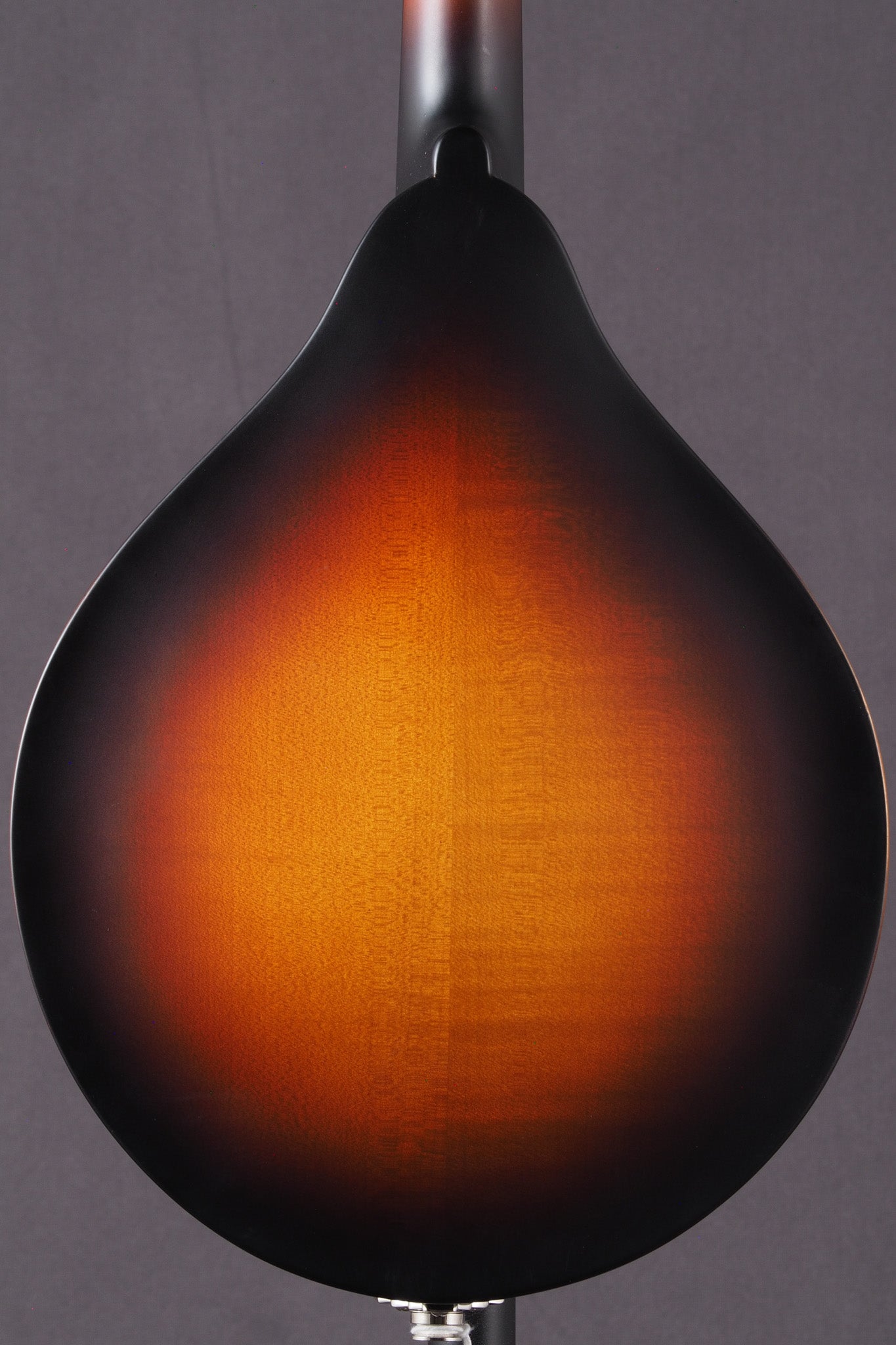 MD305E - Sunburst