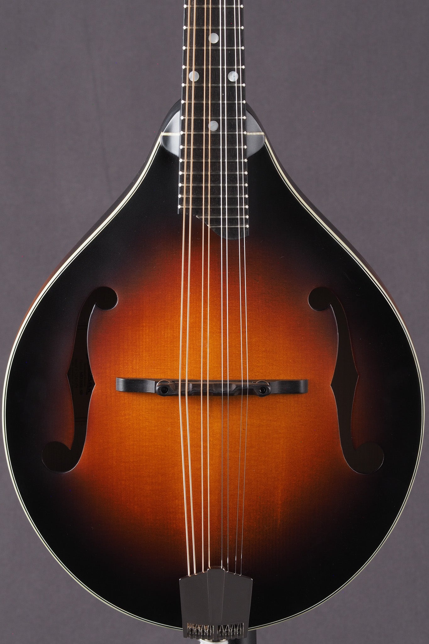 MD305E - Sunburst