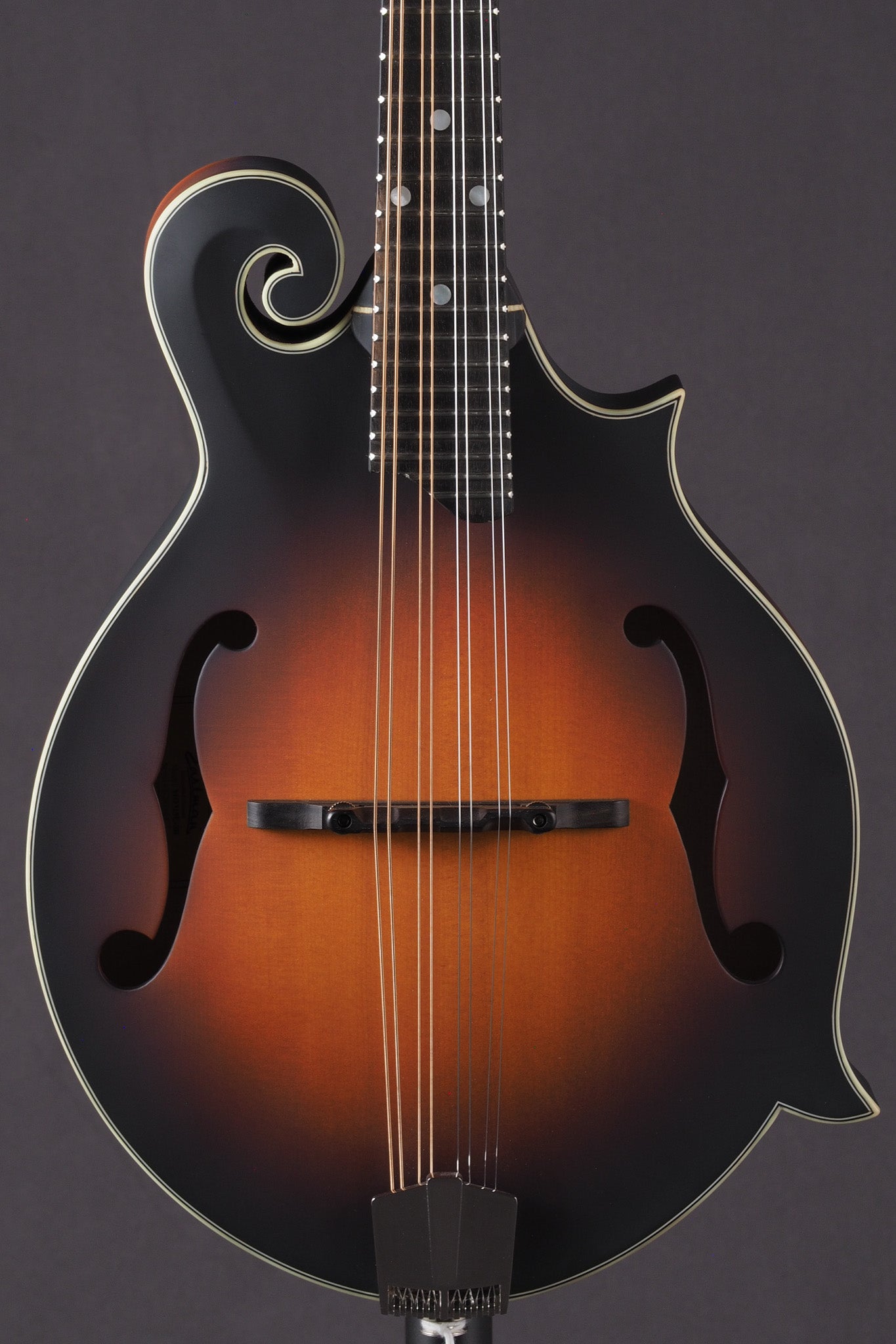 MD315E - Sunburst