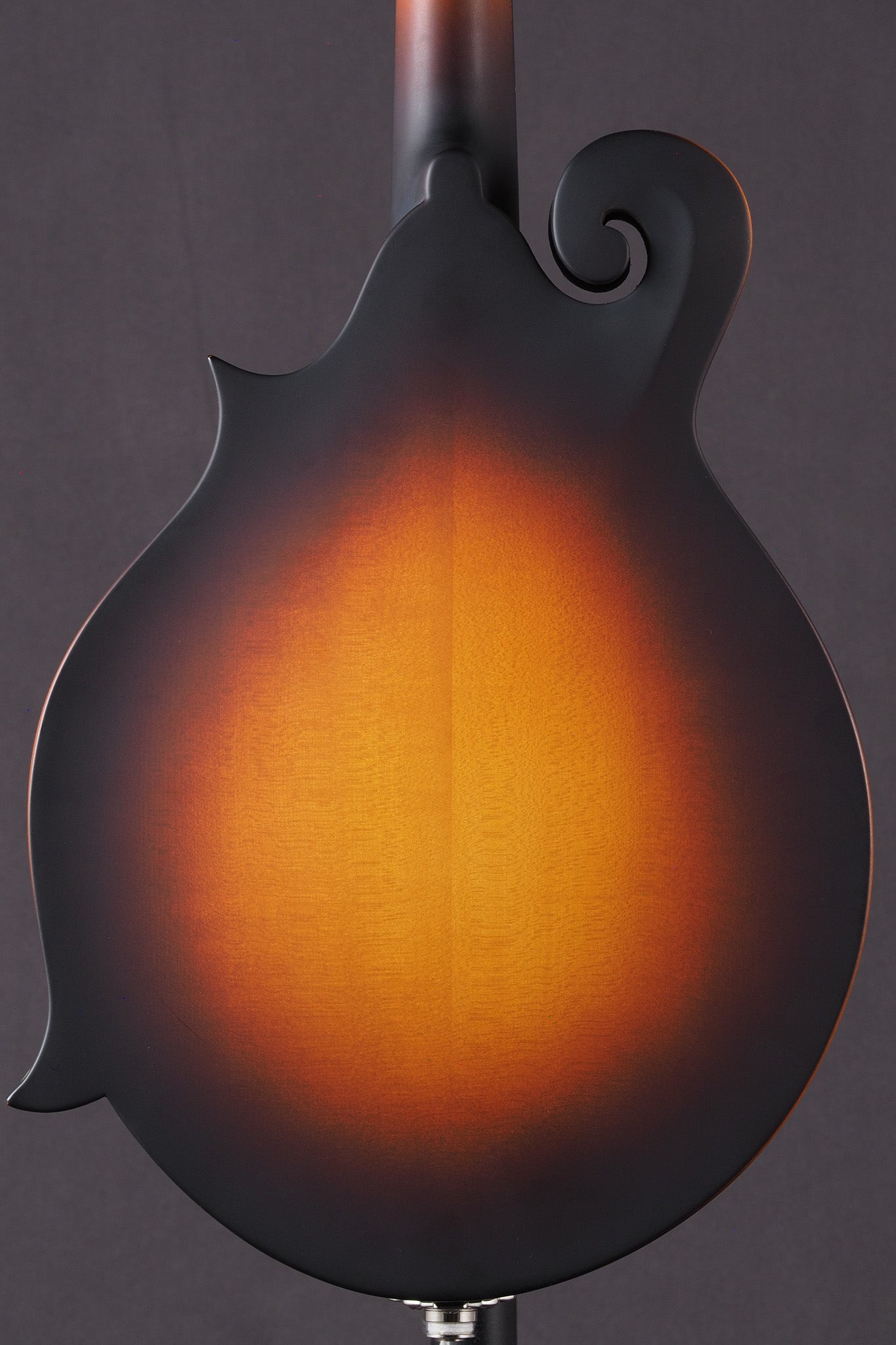 MD315E - Sunburst