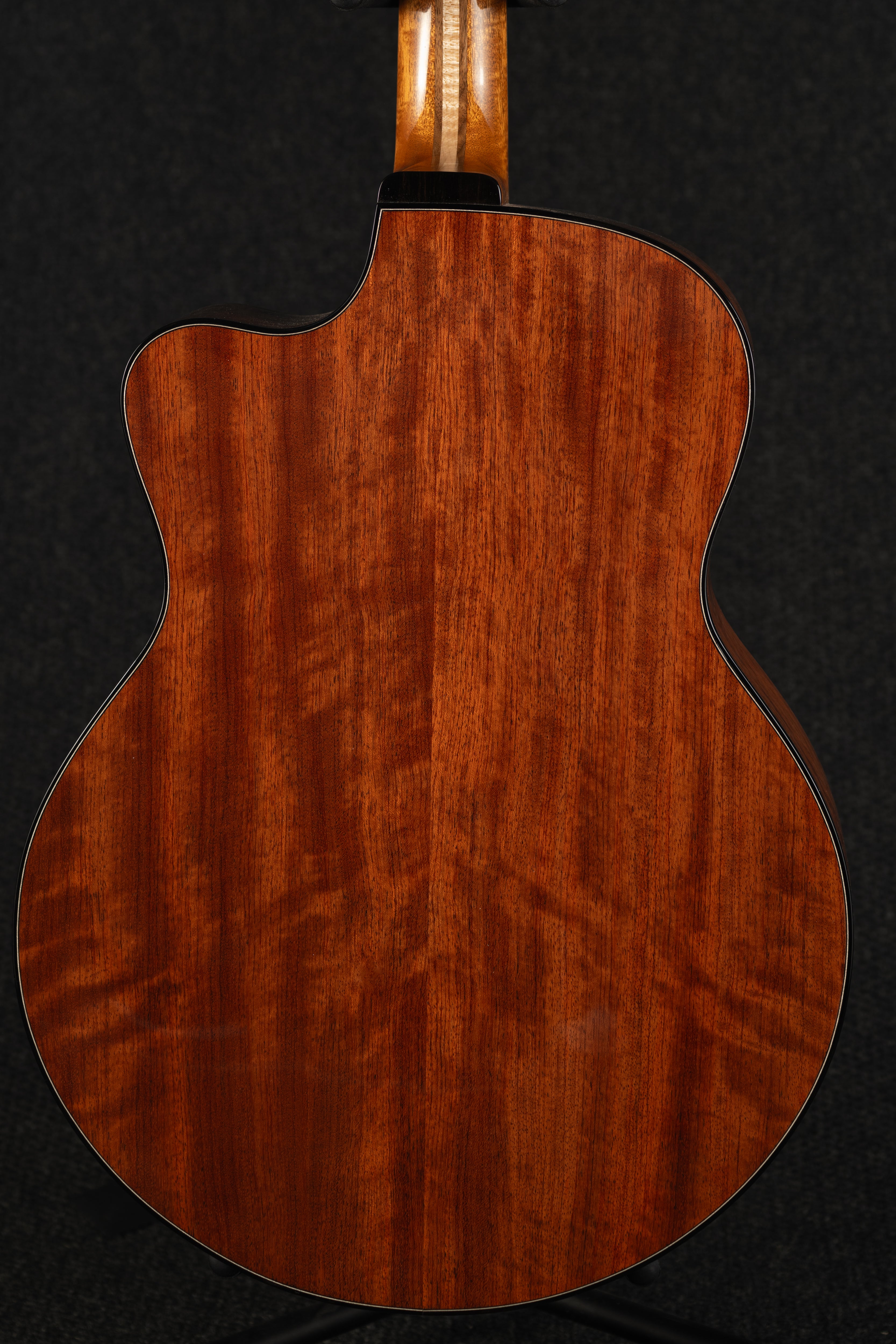 Bubinga Falcon