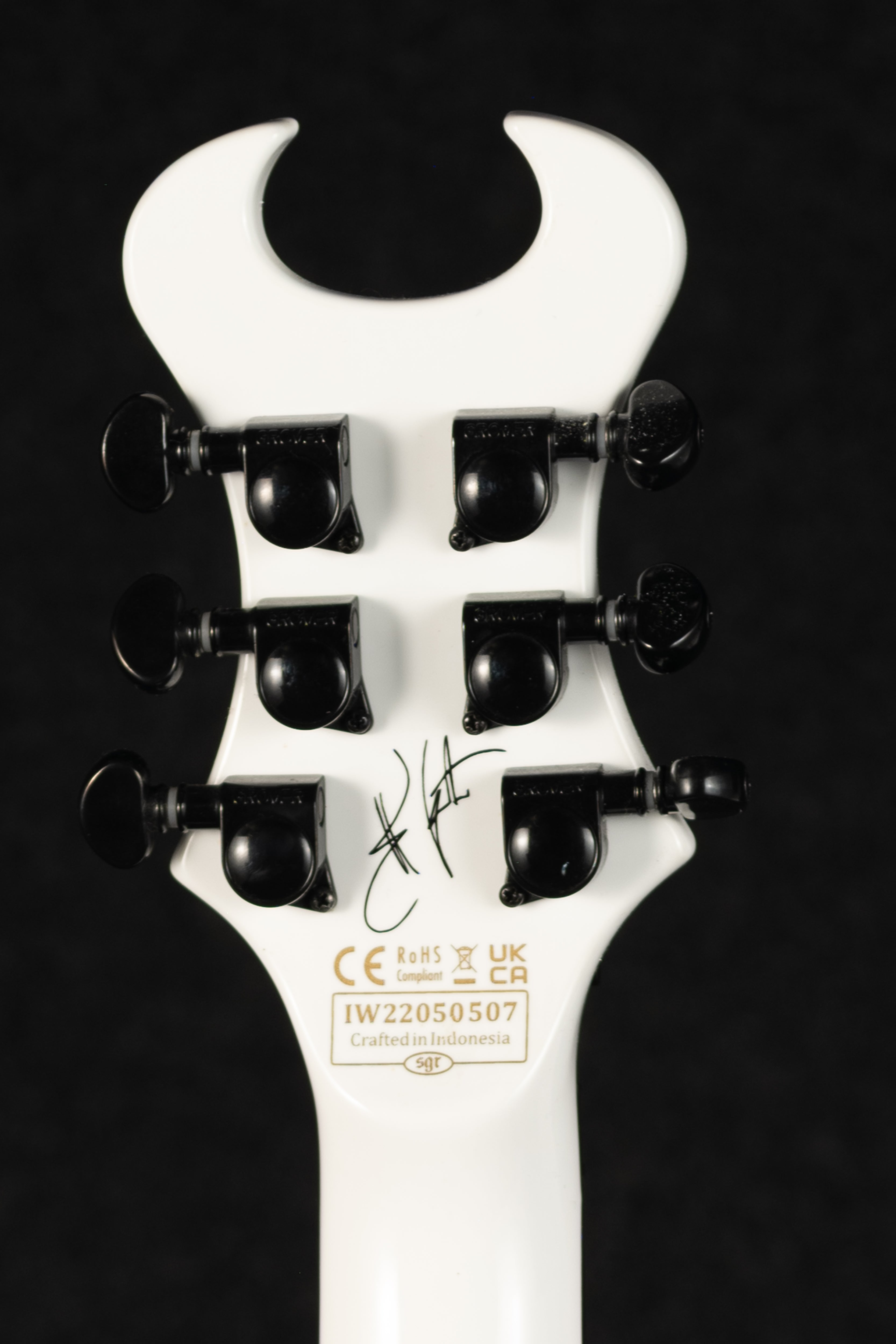 Synyster Standard